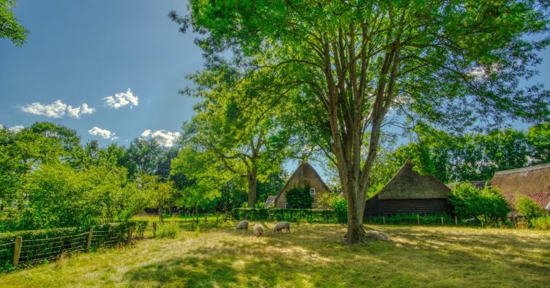 Woning in Drenthe kopen, let hier op!